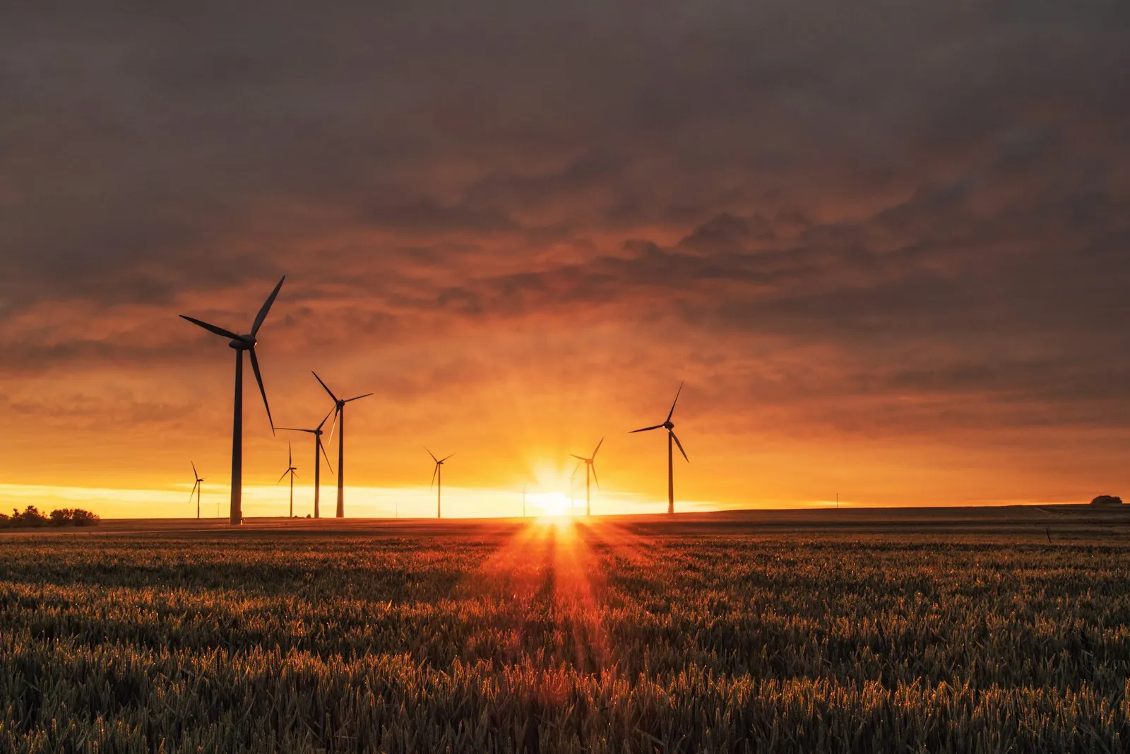 Wind turbines at sunset on a renewable energy project